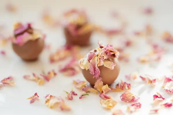 كازينو روكيت سلوتس تطبيق أندرويد/آي أو إس